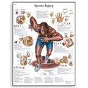Picture of Sports Injuries Chart