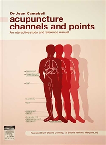 Picture of Acupuncture channels and points